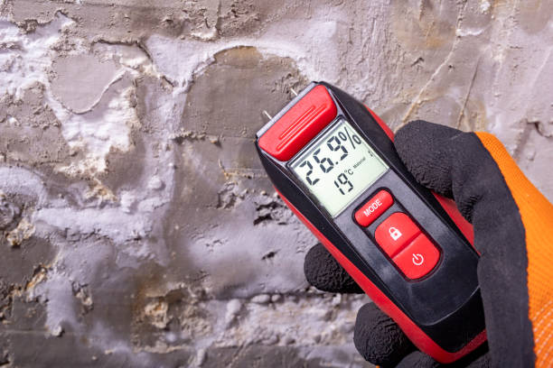 Mold Testing and Removal in Malden, MO