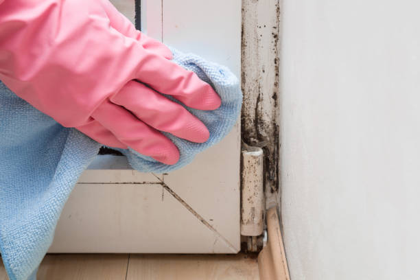 Best Crawl Space Mold Removal  in Malden, MO